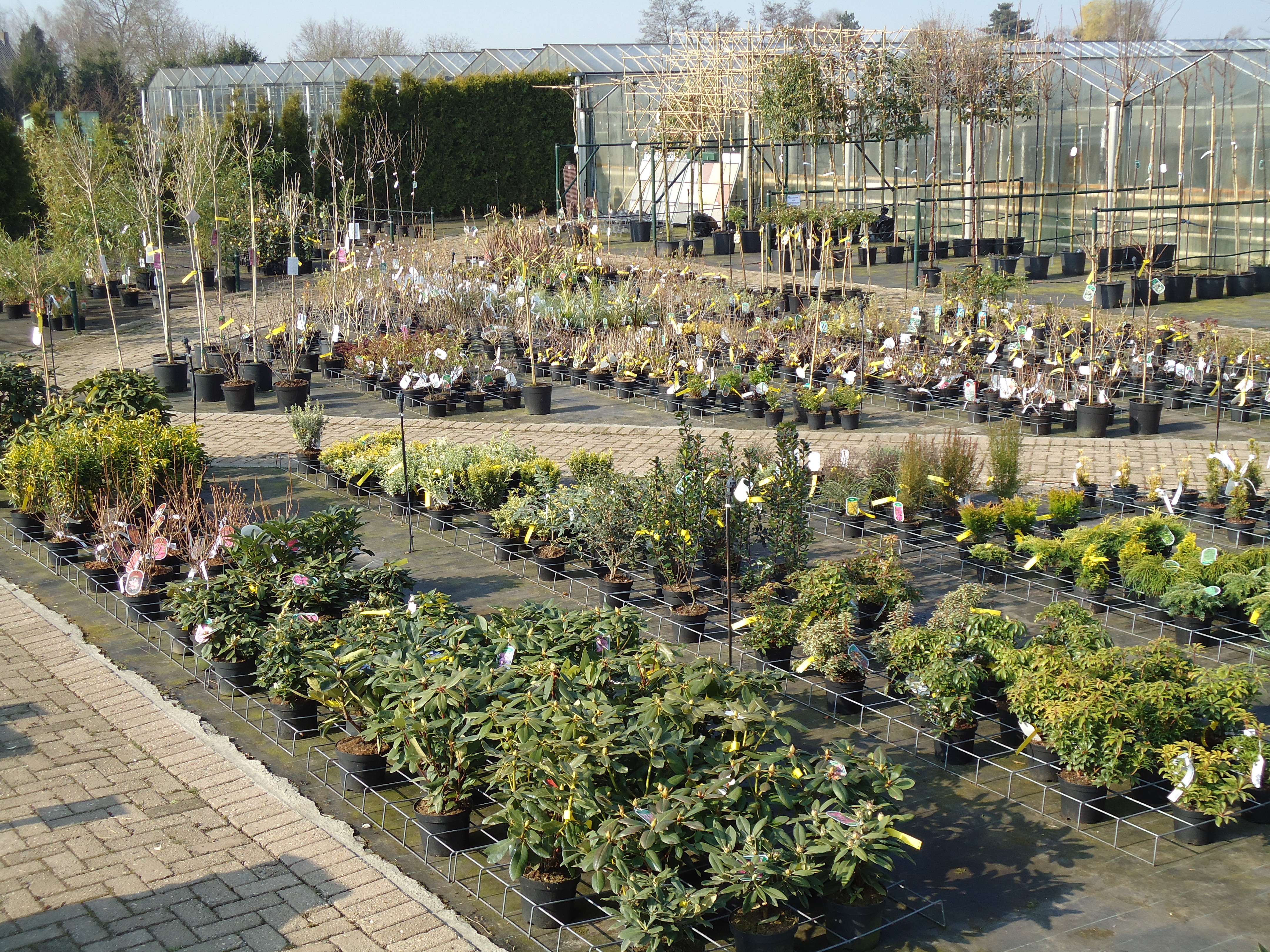 tuinplanten